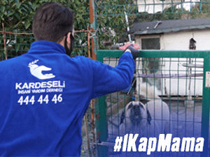 1 Kap Mama